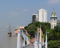 la douce Guayaquil